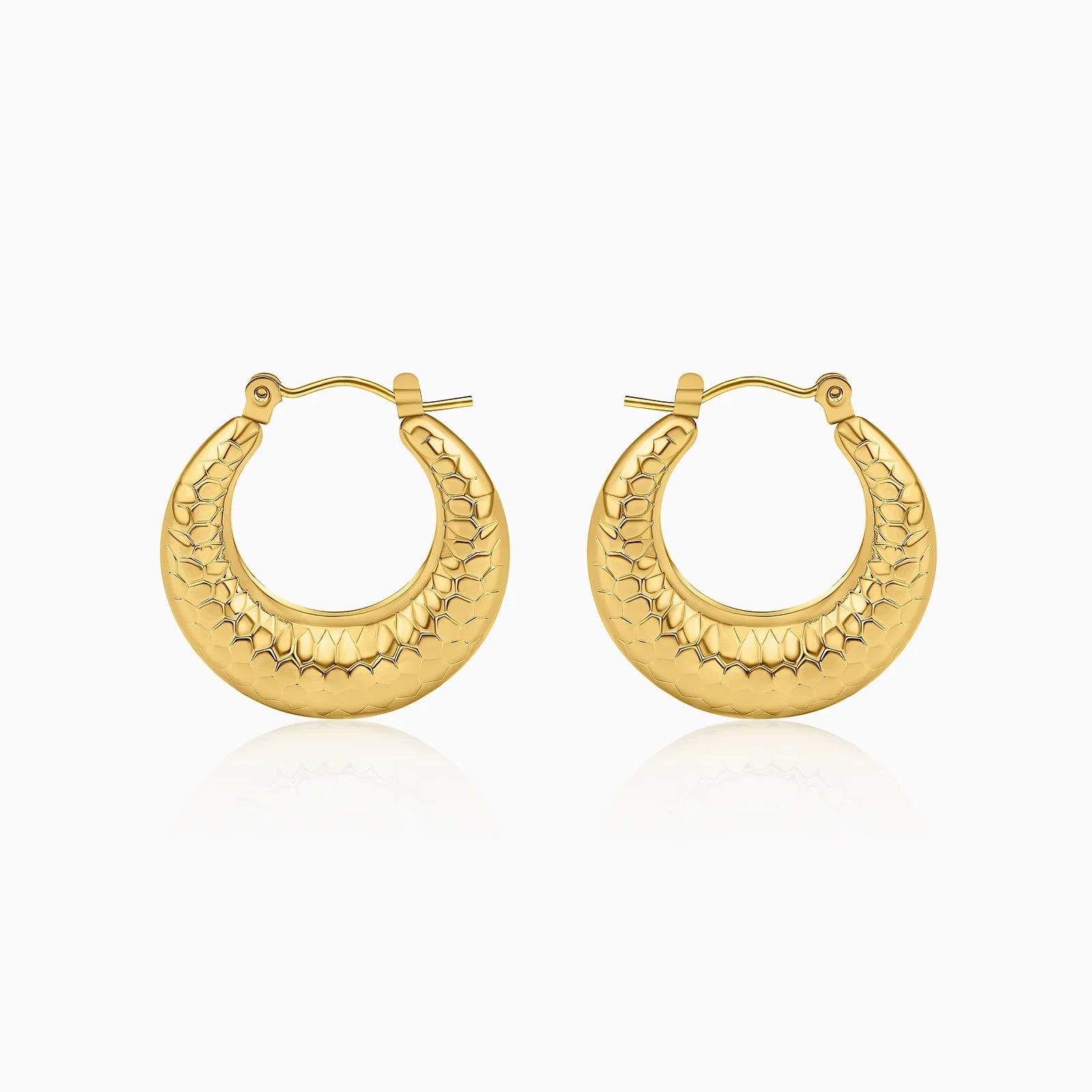 Golden Radiance Hoop Earrings