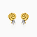 Sea Spiral Stud Earrings